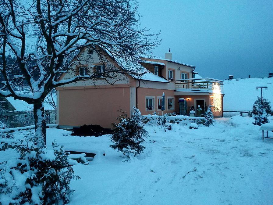 Penzion Hugo Sedlec-Prcice Exterior foto