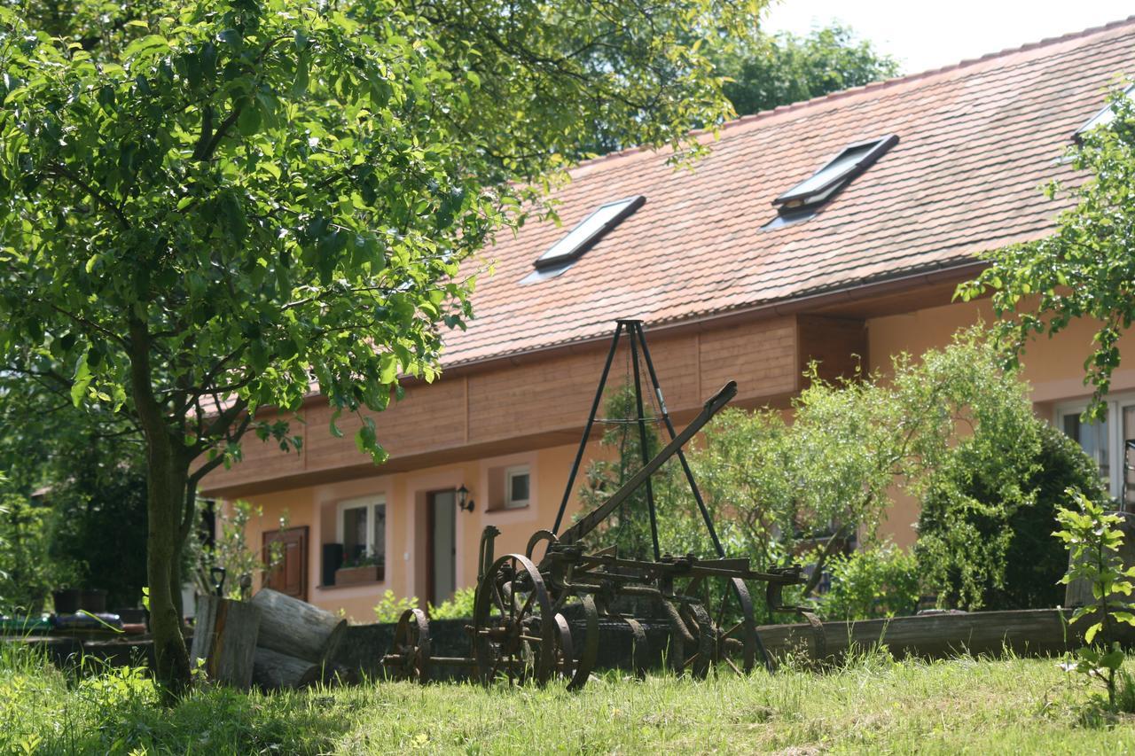 Penzion Hugo Sedlec-Prcice Exterior foto