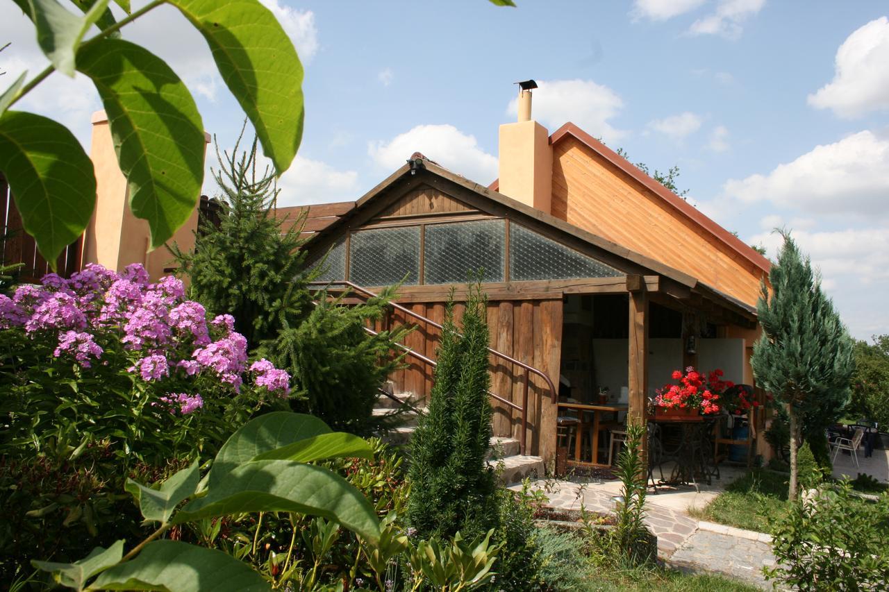 Penzion Hugo Sedlec-Prcice Exterior foto